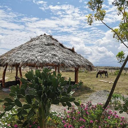 Pachingo Tatacoa Desert La Victoria  Kültér fotó