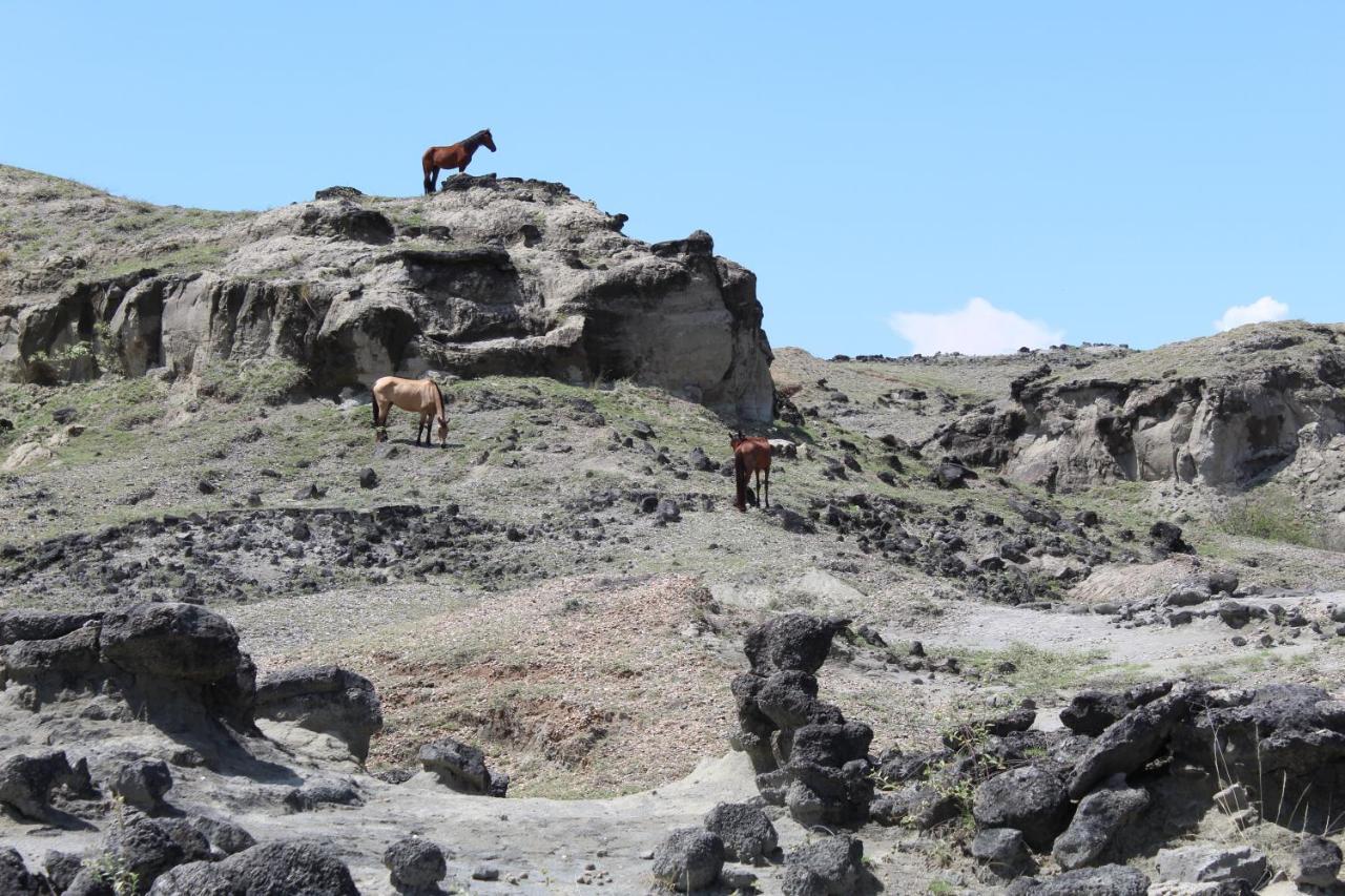 Pachingo Tatacoa Desert La Victoria  Kültér fotó