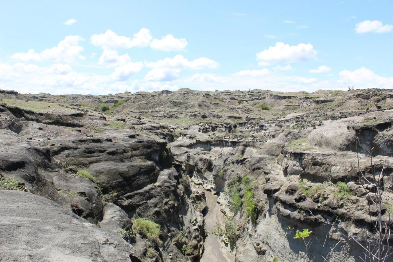 Pachingo Tatacoa Desert La Victoria  Kültér fotó