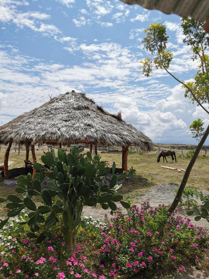 Pachingo Tatacoa Desert La Victoria  Kültér fotó